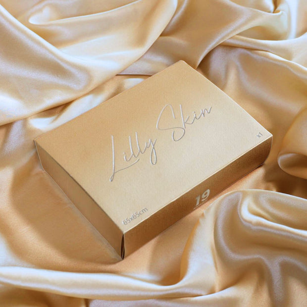 Taie Oreiller 100% Soie - Champagne